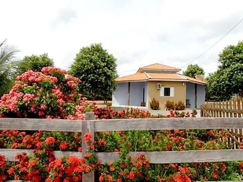 Property building, Day, Garden