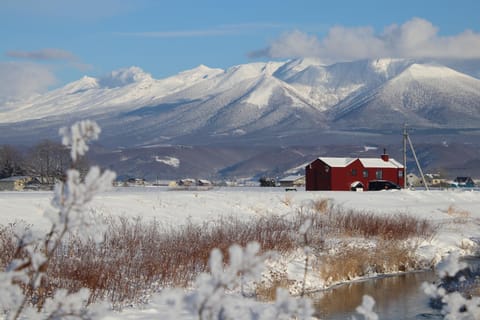 Property building, Winter