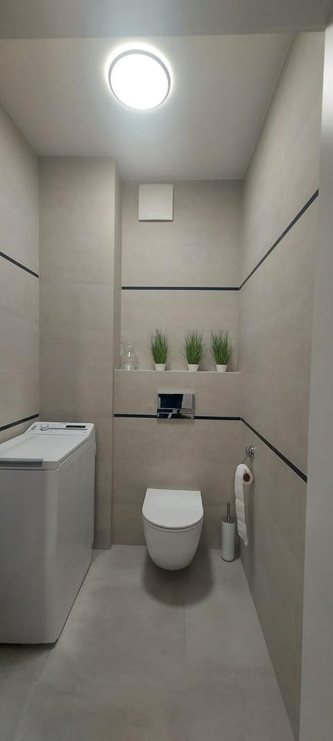 Toilet, Bathroom, washing machine