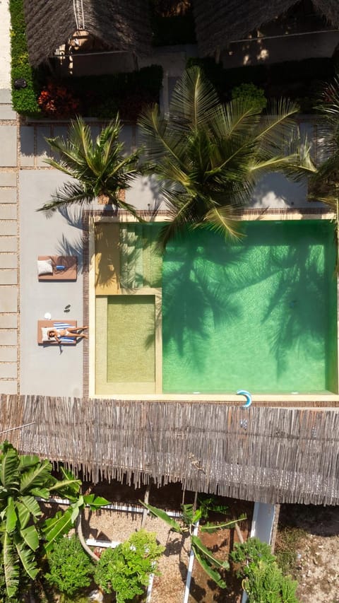 Pool view, Swimming pool