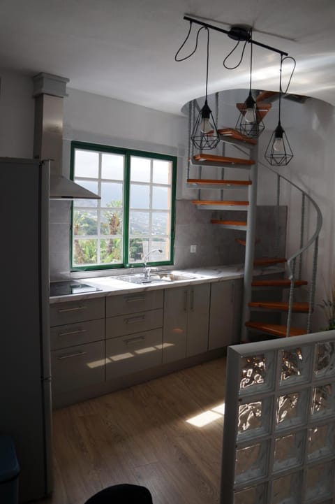 Kitchen or kitchenette, kitchen