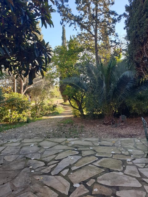 Natural landscape