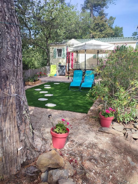 Patio, Garden, Garden view