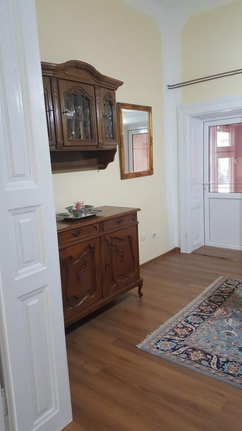Apartman Dane Apartment in Timiș County