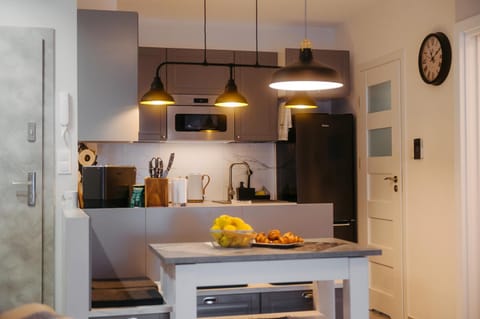 Coffee/tea facilities, Kitchen or kitchenette, minibar, oven, pet friendly, stove