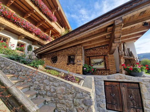 Haus Frei-Nagele Apartment in Alpbach