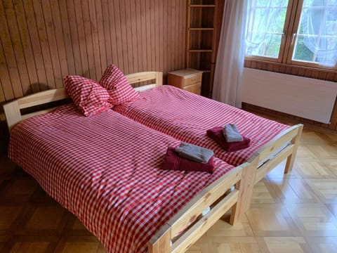 Revier Hazzo's Biasca House in St. Gallen, Switzerland