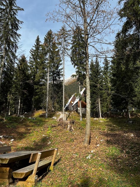 ~Chalet_Rifugio tra i boschi~ Chalet in Friuli-Venezia Giulia
