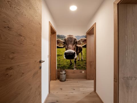 Bergpanorama Kössen Apartment in Salzburgerland