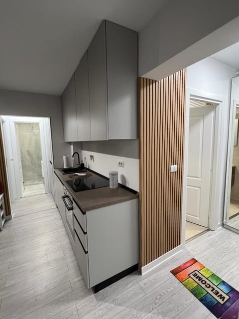 Oxana Apartments - 3 camere - Timisoara Apartment in Timisoara