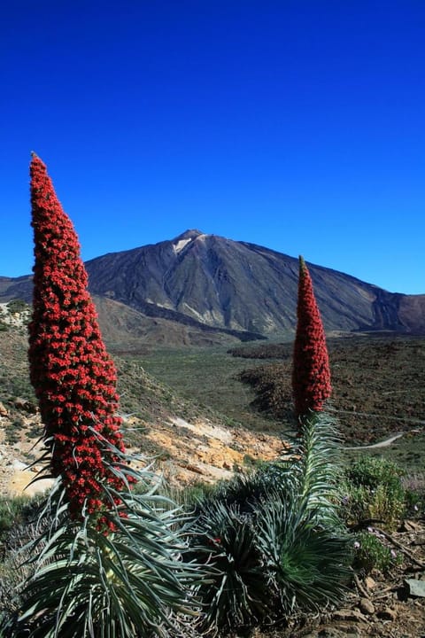 Natural landscape