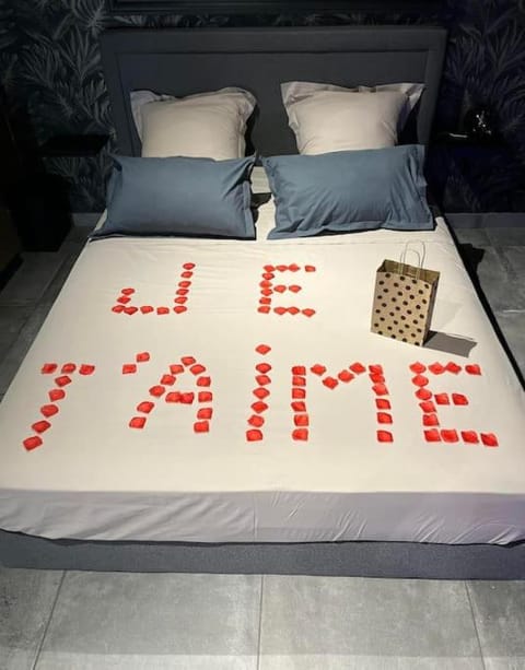 Suite romantique avec ambiance cocooning Apartment in Saint-Étienne