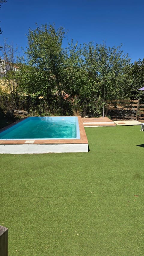 Natural landscape, Garden, Garden view, Pool view