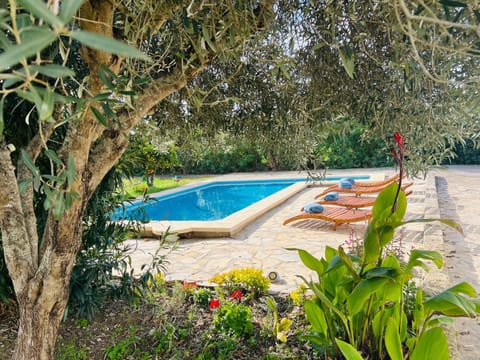 Pool view, Swimming pool