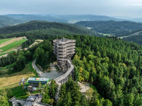 Property building, Day, Natural landscape, Winter, Summer, Ski School, Skiing, View (from property/room), Cycling, On site, Landmark view, Landmark view, Mountain view, Mountain view, Family, Family