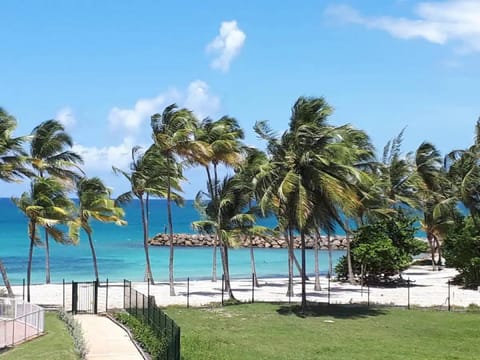 Day, Natural landscape, Beach