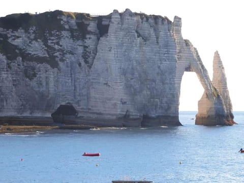 GITE LE DORIS AVEC PLACE DE STATIONNEMENT PRIVEE INCLUSE Apartment in Étretat