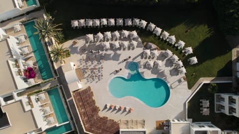 Bird's eye view, Pool view, Swimming pool, sunbed