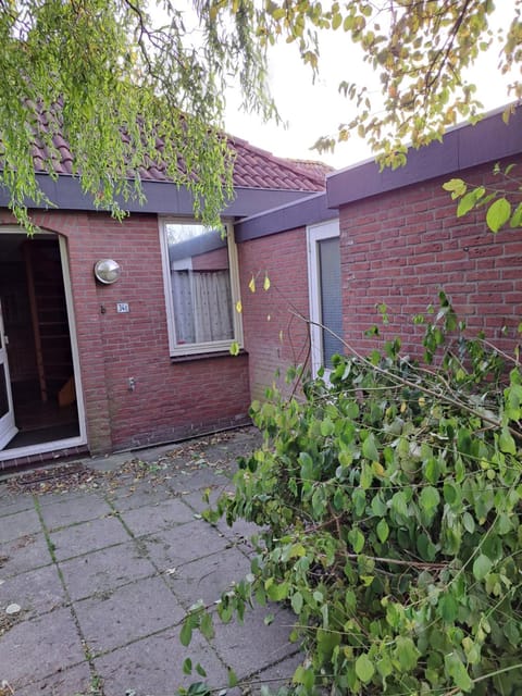 Derbyallround Campground/ 
RV Resort in Zeeland, Netherlands