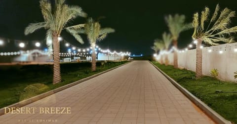 Night, Street view