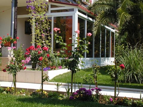Patio, Garden, Garden view