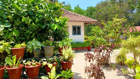 Day, Garden, Garden view