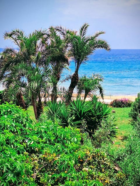 Garden view, Sea view