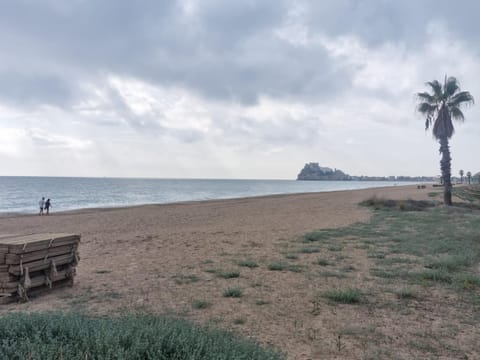 Beach, Beach