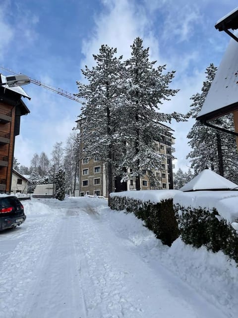 Day, Natural landscape, Winter