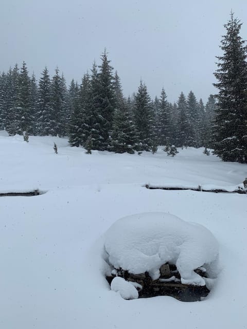 Guest House Đina House in Montenegro