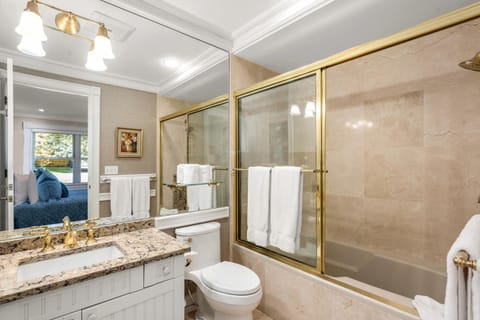 West End Splendor by Snowmass Vacations House in Aspen