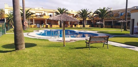 Natural landscape, Garden, Beach, Garden view, Swimming pool