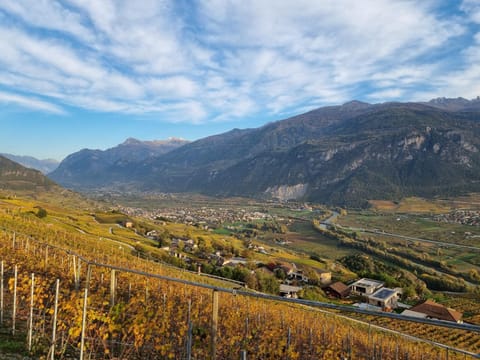 Studio Blackbird Apartment in Canton of Valais