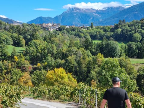Studio Blackbird Apartment in Canton of Valais