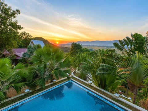 Garden, Swimming pool, Sunset