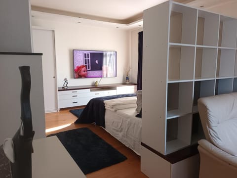 Skaistakalnio apartamentai Apartment in Lithuania