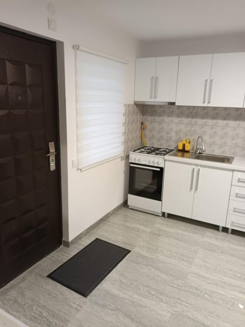 Kitchen or kitchenette, minibar, pet friendly, stove