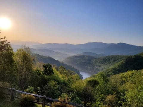 Lake view, River view