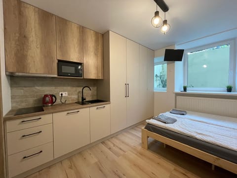 Modern guest house in city center I Room 3 Bed and Breakfast in Vilnius