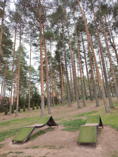 West Zlatibor Apartment in Zlatibor