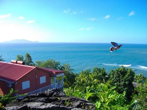 Natural landscape, Sea view