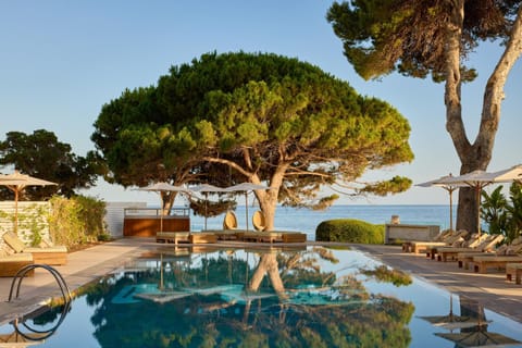 Activities, Balcony/Terrace, Lounge or bar, Sea view, Swimming pool