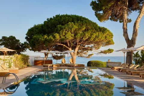Activities, Balcony/Terrace, Lounge or bar, Sea view, Swimming pool