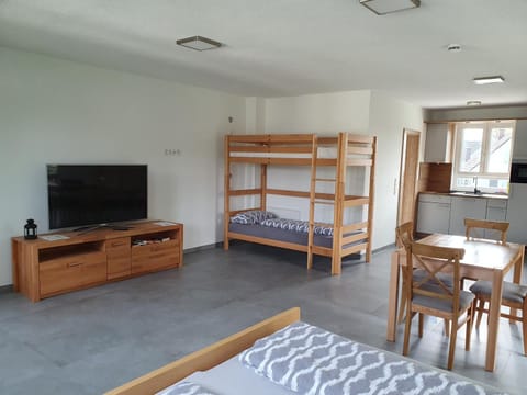 Bed, TV and multimedia, Kitchen or kitchenette, Photo of the whole room, Seating area, Dining area, Bedroom, bunk bed