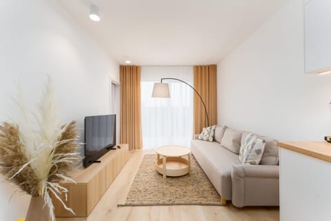 TV and multimedia, Living room, Seating area, Evening entertainment