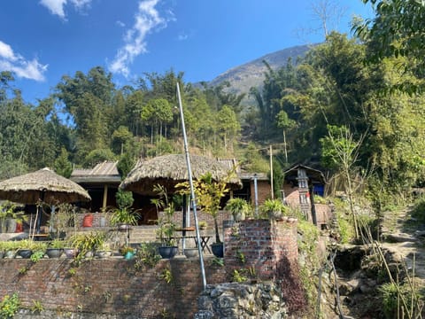 Natural landscape, Garden view, Mountain view