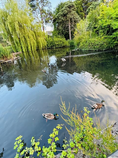 97 Granville road Vacation rental in Dublin