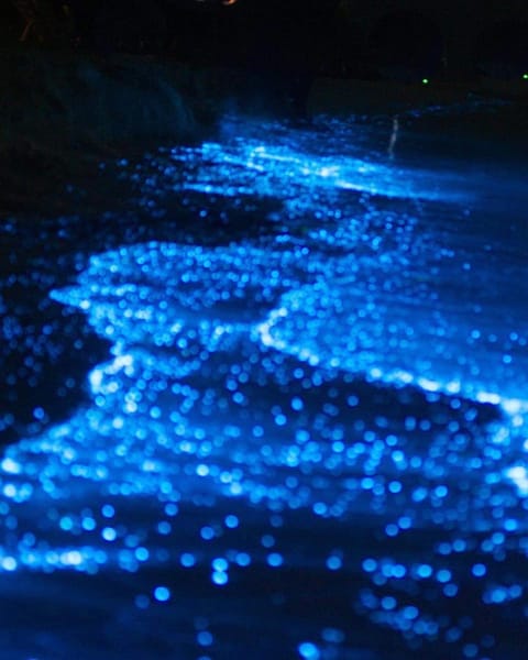 Night, Natural landscape