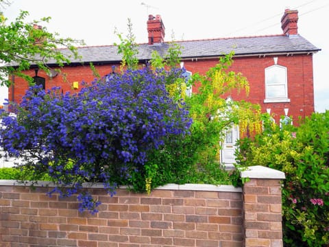 Property building, Spring, Day, Garden, Garden view
