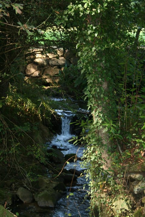 Nearby landmark, Natural landscape